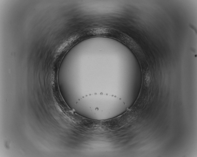 X0000101470732200807211336