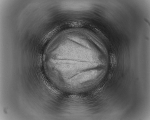 X0000101470733200807211336