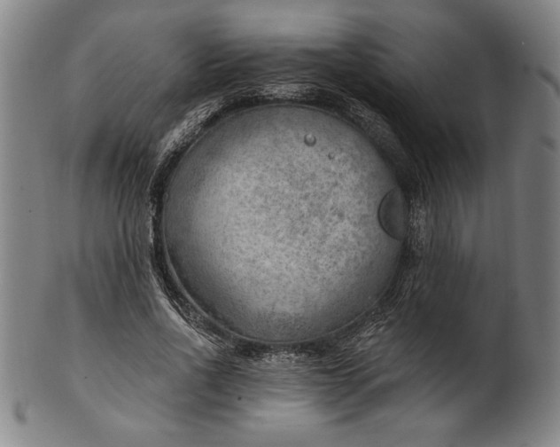 X0000101470734200807211336