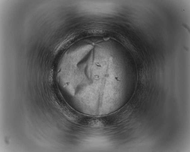 X0000101470735200807211336