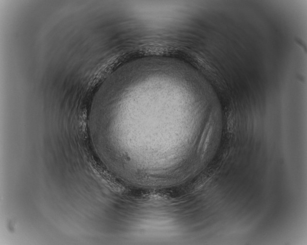 X0000101470737200807211336