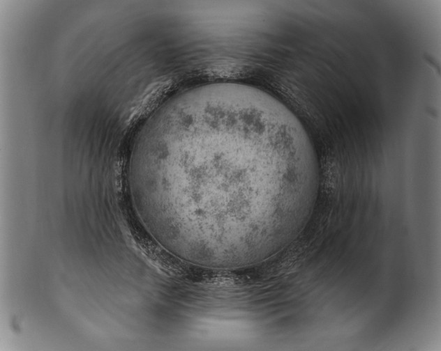 X0000101470738200807211336