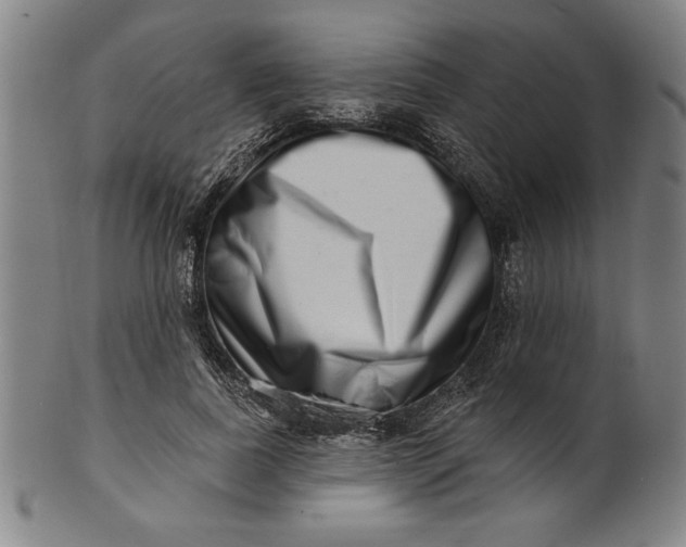 X0000101470739200807211336