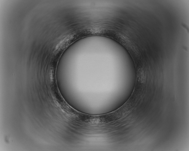 X0000101470740200807211336