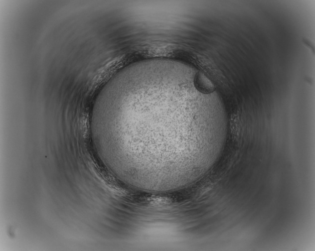 X0000101470741200807211336