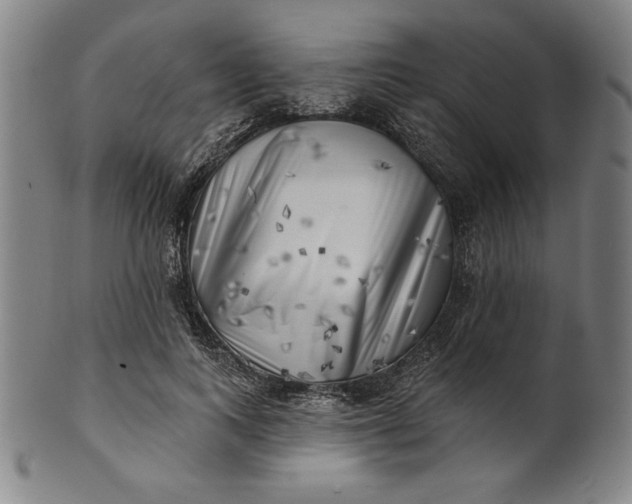 X0000101470743200807211336