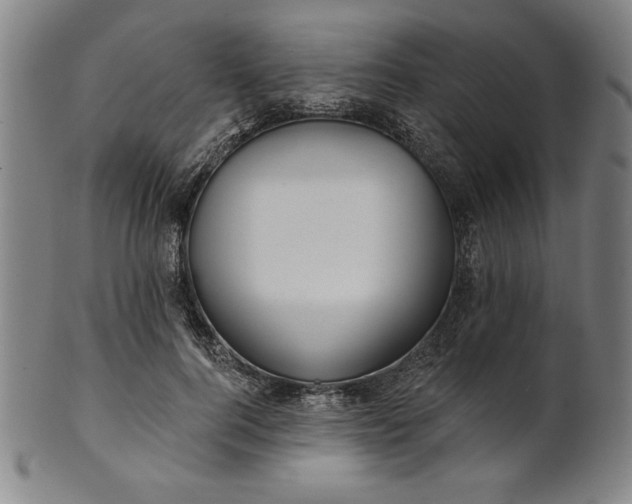 X0000101470744200807211336