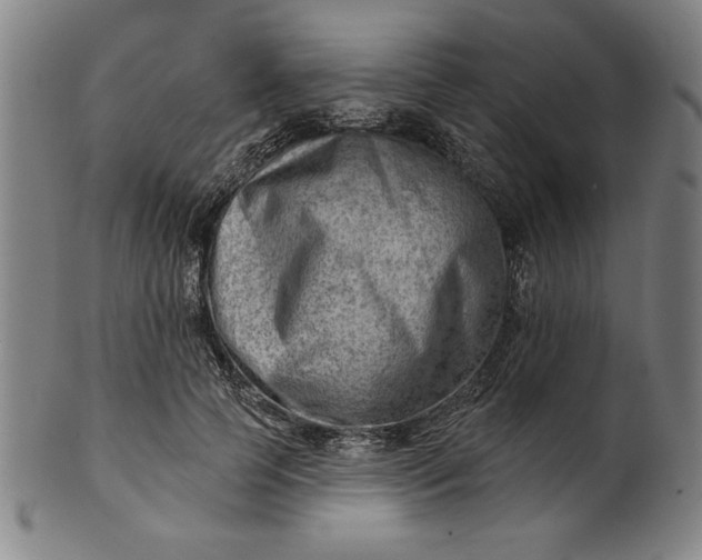 X0000101470745200807211336