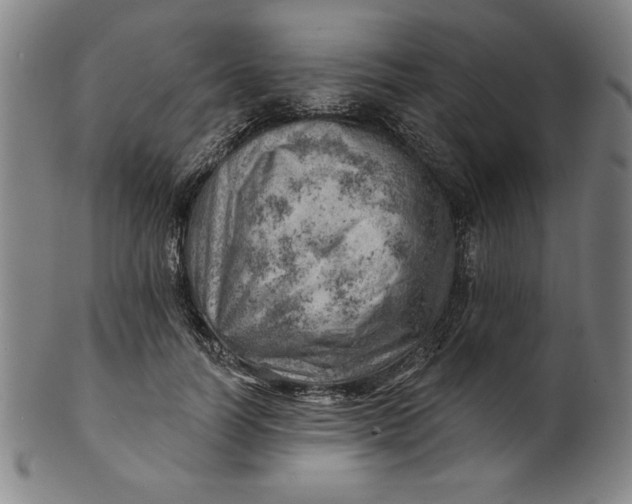 X0000101470746200807211336