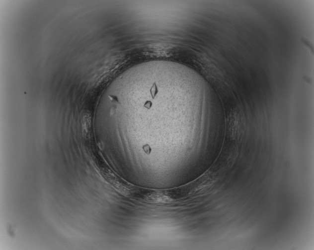 X0000101470747200807211336