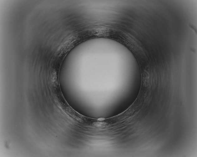 X0000101470748200807211336