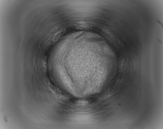 X0000101470749200807211336