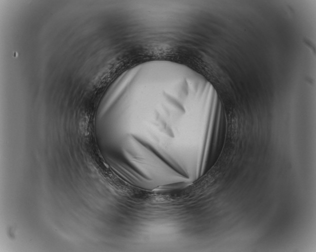 X0000101470750200807211336