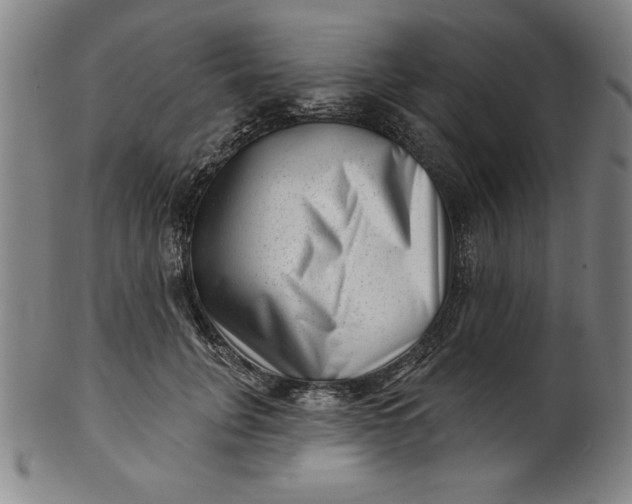 X0000101470751200807211336