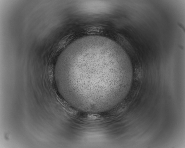 X0000101470753200807211336