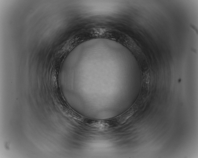 X0000101470754200807211336