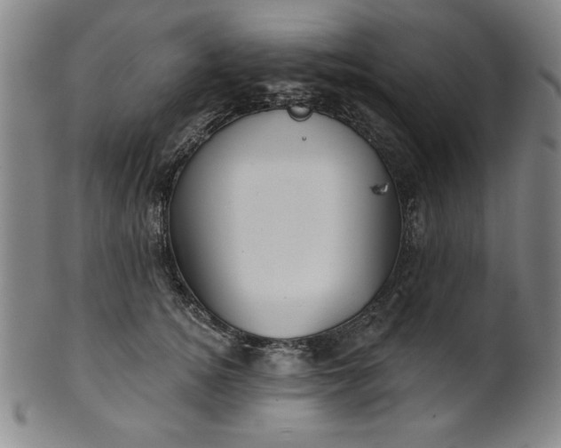 X0000101470756200807211336