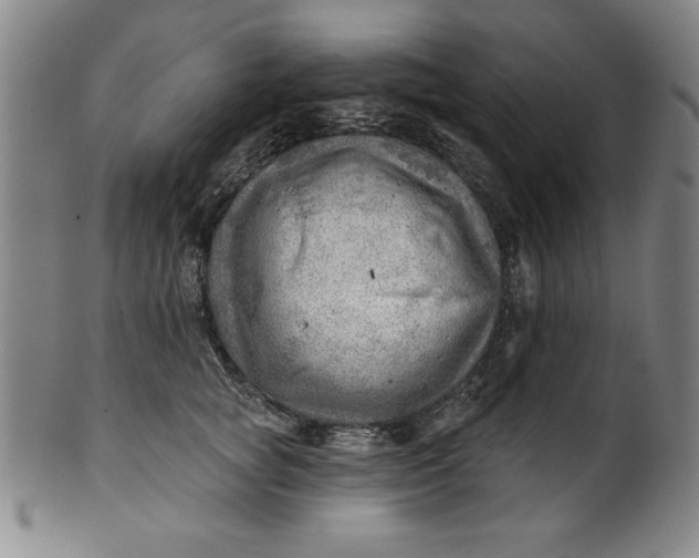 X0000101470757200807211336