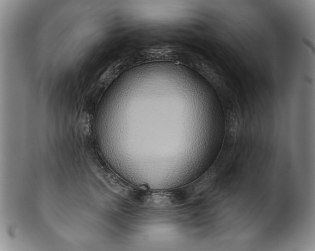 X0000101470758200807211336