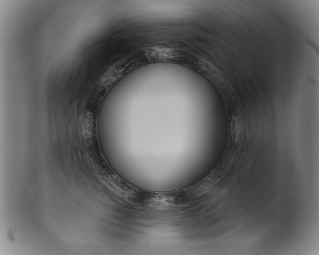 X0000101470760200807211336