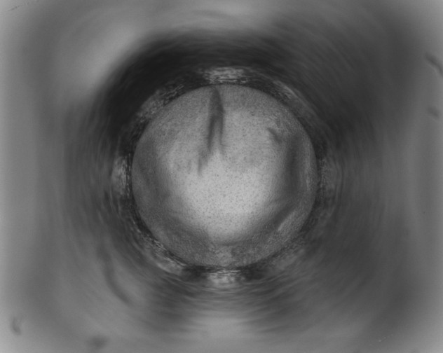 X0000101470761200807211336