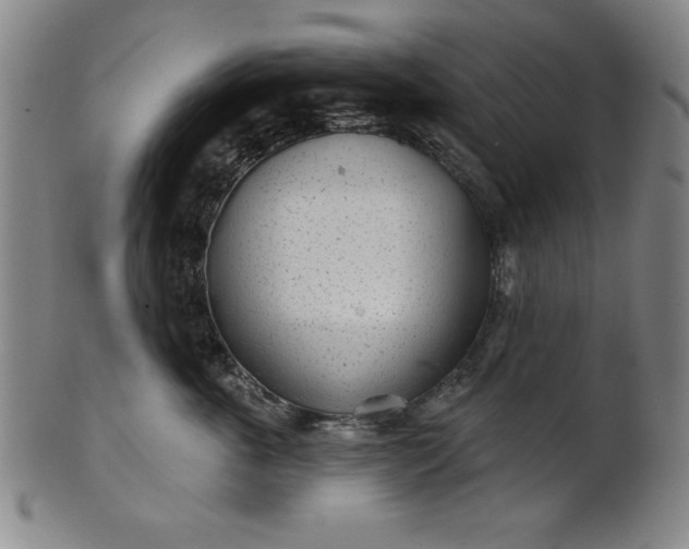 X0000101470763200807211336