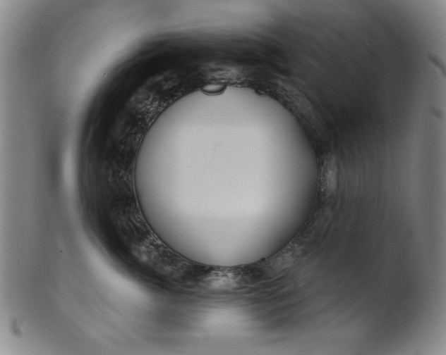 X0000101470764200807211336