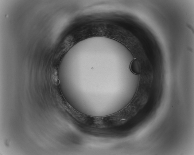 X0000101470766200807211336