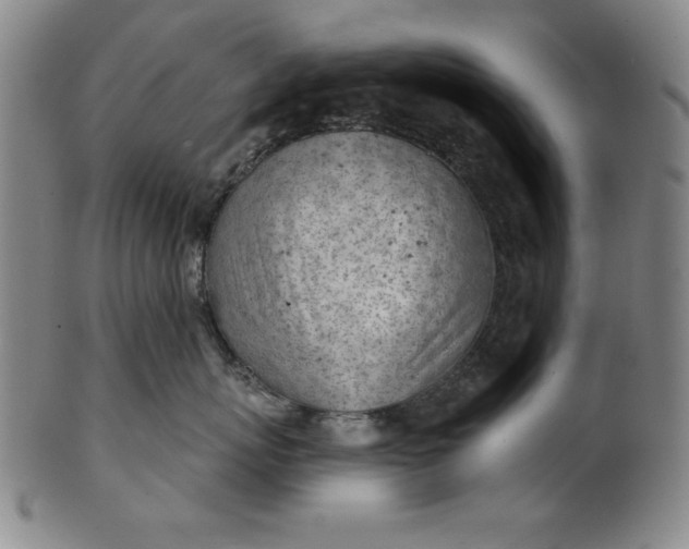 X0000101470767200807211336