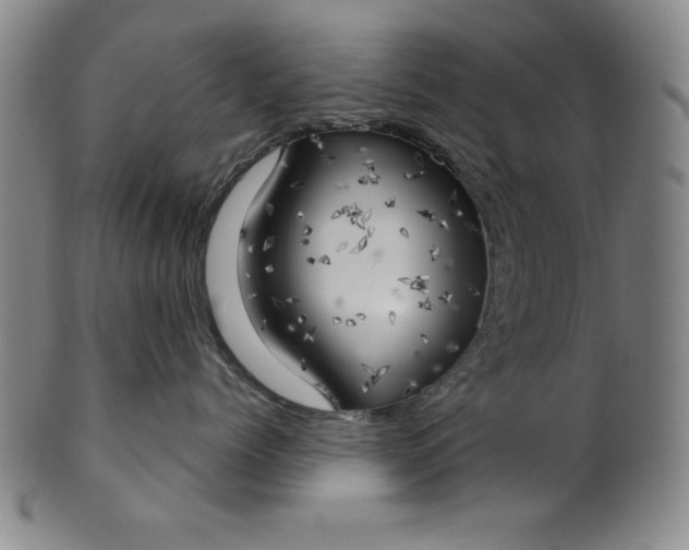 X0000101470768200807211336