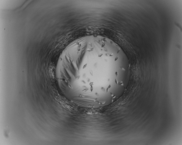 X0000101470770200807211336