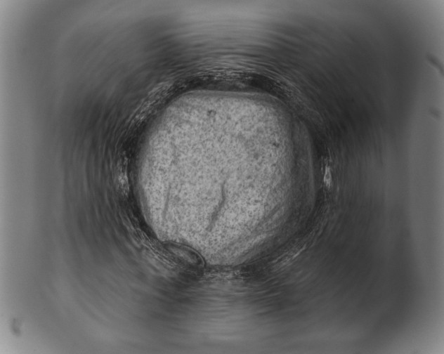 X0000101470771200807211336