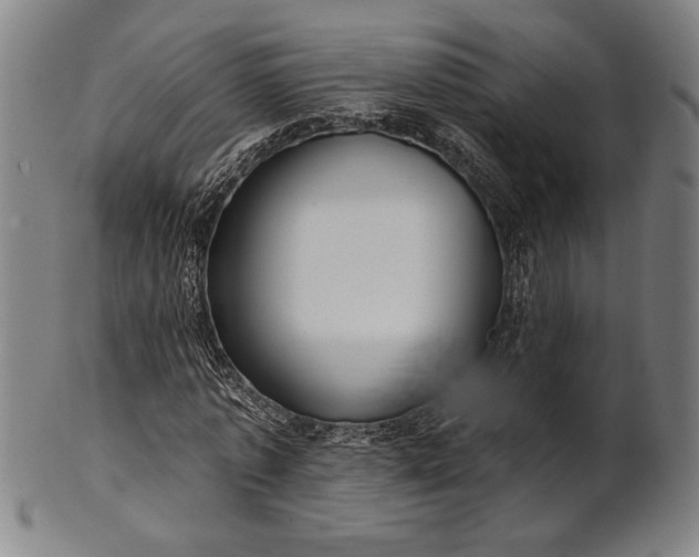 X0000101470773200807211336