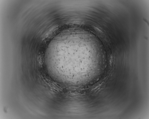 X0000101470774200807211336