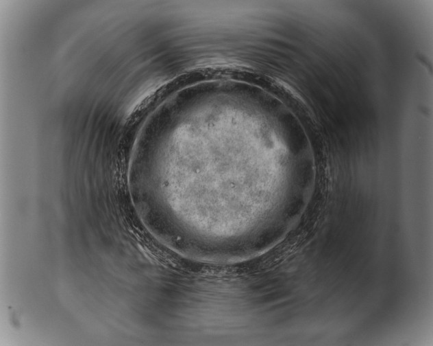 X0000101470775200807211336