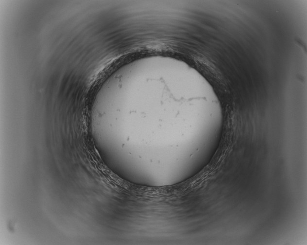 X0000101470776200807211336