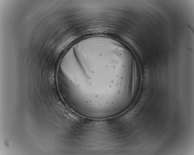 X0000101470778200807211336