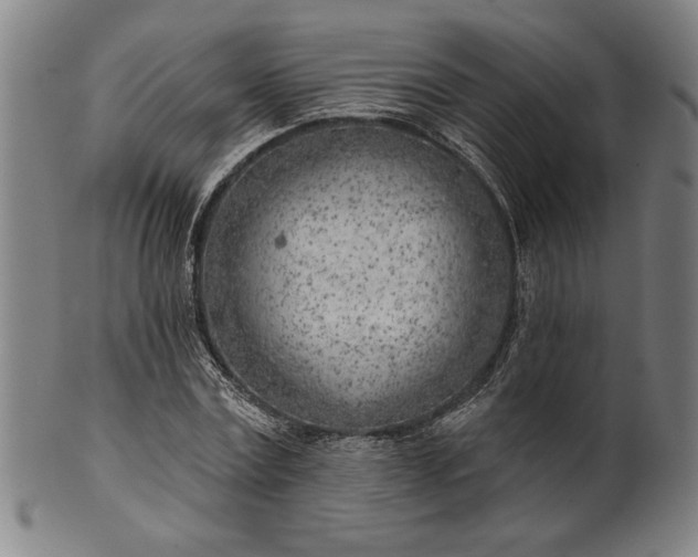 X0000101470779200807211336