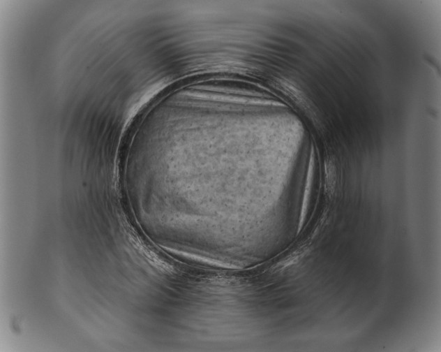 X0000101470780200807211336