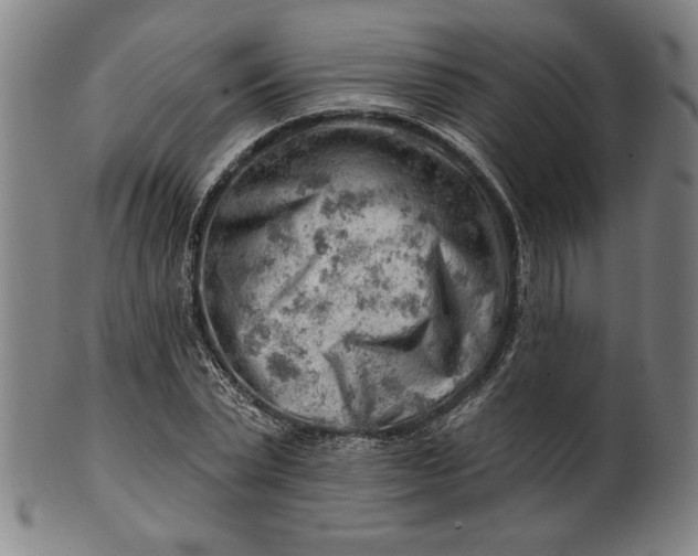 X0000101470783200807211335