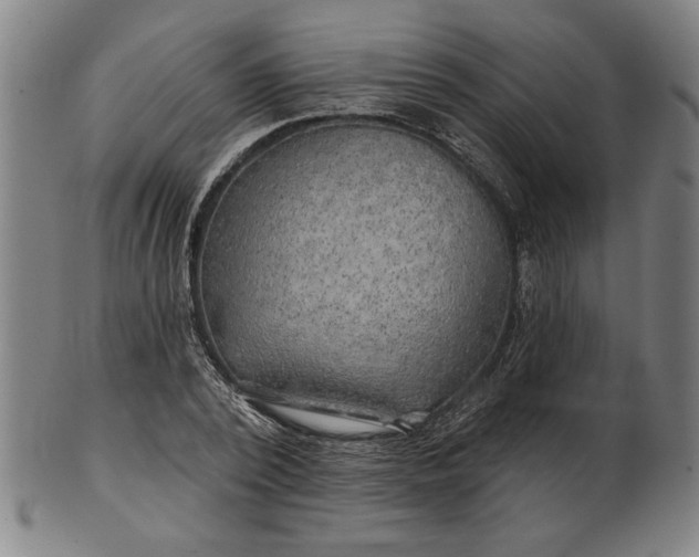 X0000101470784200807211335