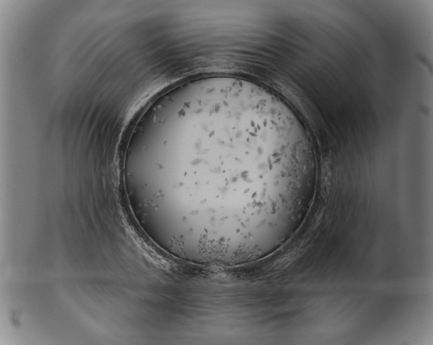 X0000101470787200807211335