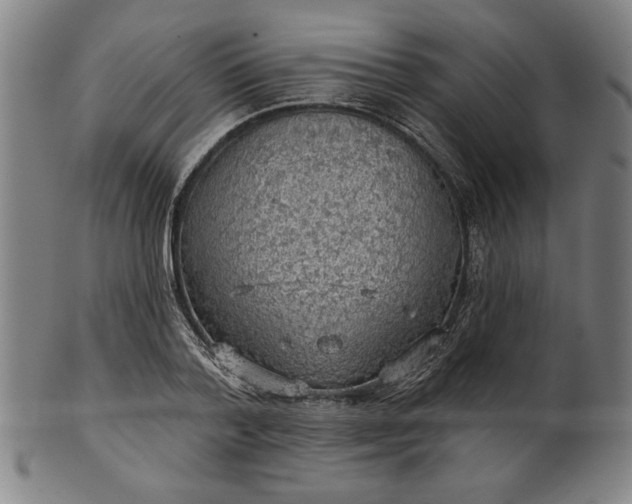 X0000101470788200807211335