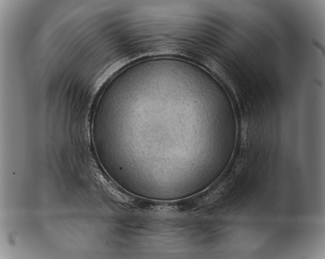 X0000101470789200807211335