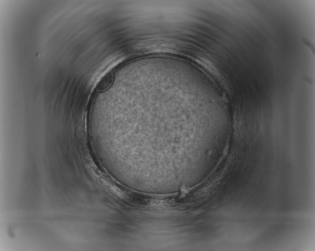 X0000101470790200807211335