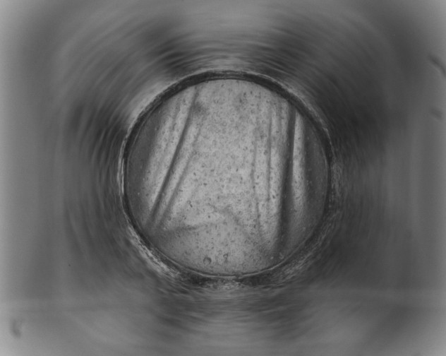 X0000101470791200807211335