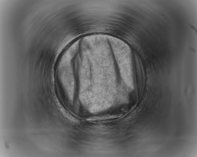 X0000101470792200807211335