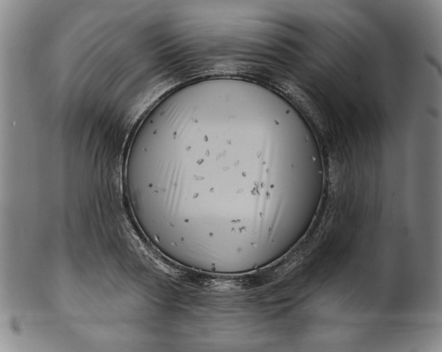 X0000101470794200807211335