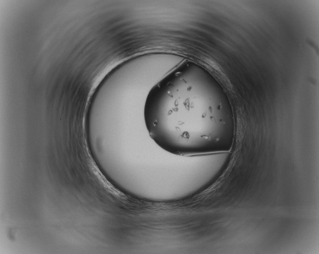 X0000101470796200807211335