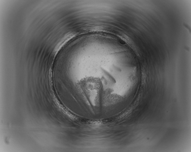 X0000101470798200807211335